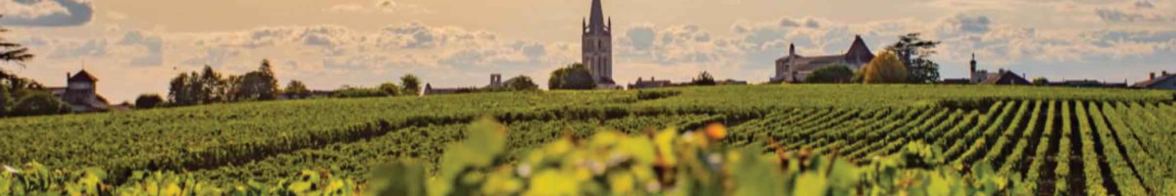 Achat vin de Bordeaux au meilleur prix | Conroy Vins et Spiritueux